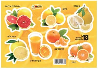 מגזרות פרי הדר