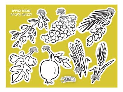 שבעת המינים לצביעה