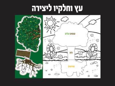 עץ וחלקיו ליצירה והדבקה