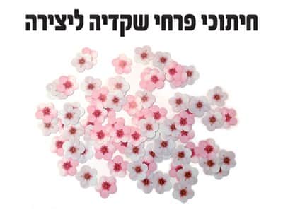 חיתוכי פרחי דקדיה
