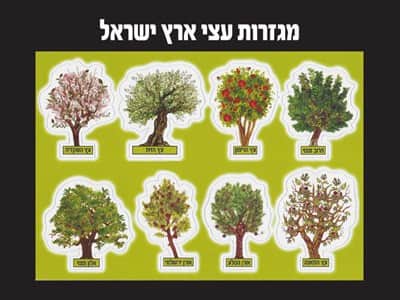 מגזרות עצים