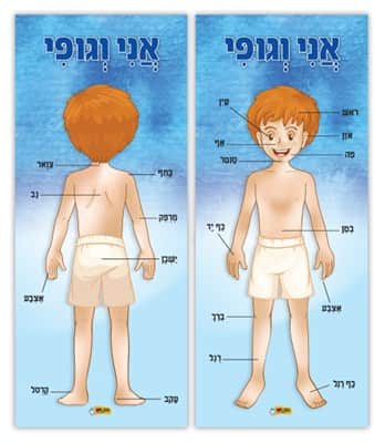 2 פלקטים אני וגופי ילד/ילדה