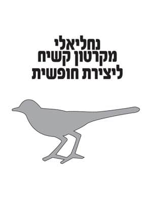 נחליאלי מקרטון קשיח ליצירה חופשית