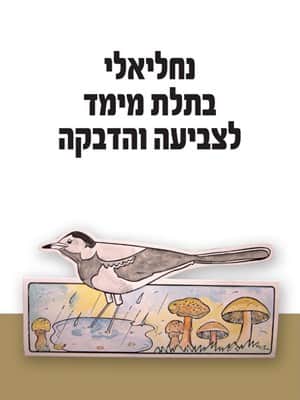 נחליאלי בתלת מימד לצביעה