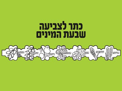 כתר לצביעה שבעת המינים