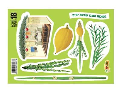 מגזרות ארבעת המינים